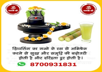 Pandit-ji-Vastu-consultant-Bhilwara-Rajasthan-2