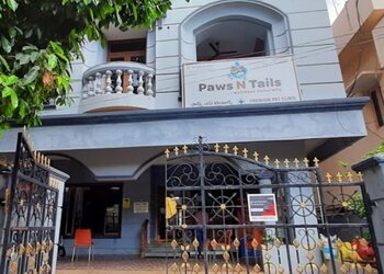 Paws-n-tails-Veterinary-hospitals-Vizag-Andhra-pradesh-1