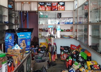 Paws-pet-store-Pet-stores-Civil-township-rourkela-Odisha-2