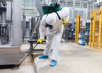 Pces-pest-solutions-Pest-control-services-Sector-44-gurugram-Haryana-2