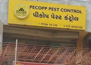 Pecopp-pest-control-services-Pest-control-services-Ambawadi-ahmedabad-Gujarat-1