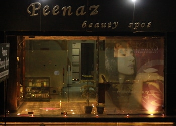 Peenaz-beauty-spot-Beauty-parlour-Rohtak-Haryana-1