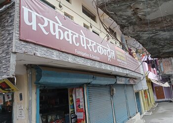 Perfect-pest-control-Pest-control-services-Mp-nagar-bhopal-Madhya-pradesh-1