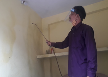 Perfect-pest-control-Pest-control-services-Mp-nagar-bhopal-Madhya-pradesh-2