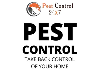 Pest-control-24x7-Pest-control-services-Egmore-chennai-Tamil-nadu-1