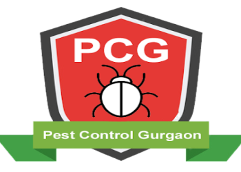 Pest-control-gurgaon-Pest-control-services-Sector-31-gurugram-Haryana-1