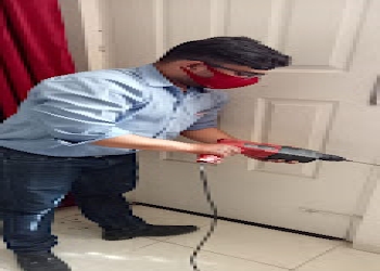 Pest-control-gurgaon-Pest-control-services-Sector-55-gurugram-Haryana-2