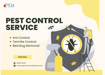 Pest-control-hyderabad-Pest-control-services-Hitech-city-hyderabad-Telangana-1