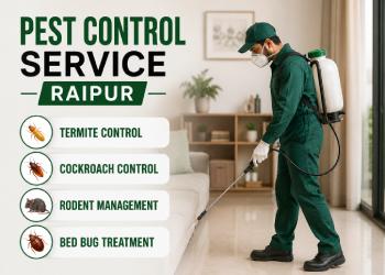 Pest Control service Raipur