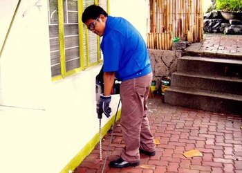 Pest-control-services-Pest-control-services-Jagatpura-jaipur-Rajasthan-2