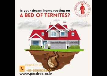 Pest-free-services-Pest-control-services-Amroha-Uttar-pradesh-2