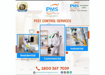 Pest-management-services-Pest-control-services-Mumbai-Maharashtra-1