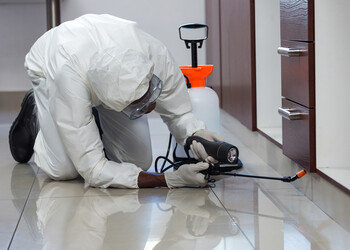 Pestasia-Pest-control-services-Palarivattom-kochi-Kerala-2