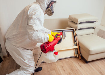 Pestasia-Pest-control-services-Palarivattom-kochi-Kerala-3