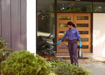 Pesteon-services-Pest-control-services-Old-pune-Maharashtra-2