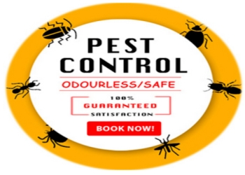 Pestofix-pest-control-services-Pest-control-services-Saket-delhi-Delhi-1