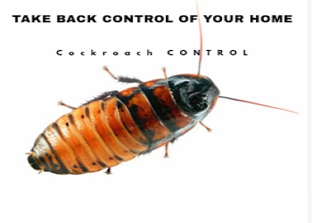 Pestokill-pest-control-raipur-Pest-control-services-Raipur-Chhattisgarh-2