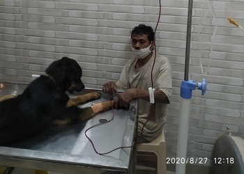 Pet-care-clinic-Veterinary-hospitals-Raipur-Chhattisgarh-3