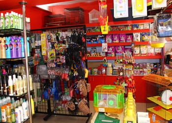 Pet-choice-Pet-stores-Bangalore-Karnataka-3