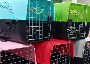 Pet-mart-Pet-stores-Bhopal-Madhya-pradesh-3