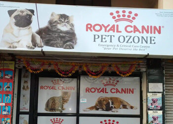 Pet-ozone-pet-clinic-Veterinary-hospitals-Pimpri-chinchwad-Maharashtra-1