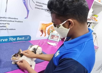 Pet-ozone-pet-clinic-Veterinary-hospitals-Pimpri-chinchwad-Maharashtra-3