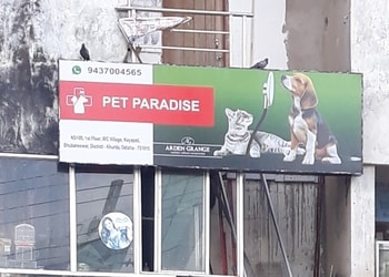 Pet-paradise-Pet-stores-Acharya-vihar-bhubaneswar-Odisha-1