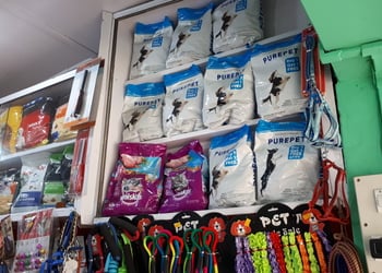 Pet-planet-Pet-stores-Tezpur-Assam-2