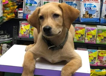 Pet-pluz-Pet-stores-Srirangam-tiruchirappalli-Tamil-nadu-3