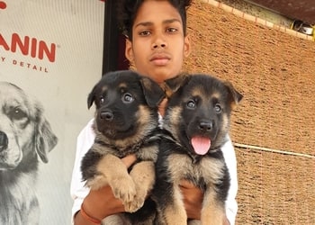 Pet-point-Pet-stores-Telipara-bilaspur-Chhattisgarh-3