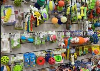 Pets-value-Pet-stores-Arera-colony-bhopal-Madhya-pradesh-3