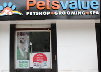 Pets-value-Pet-stores-Misrod-bhopal-Madhya-pradesh-1