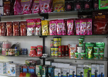 Pets-villa-Pet-stores-Kolhapur-Maharashtra-2