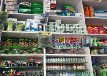 Pets-zone-Pet-stores-Baripada-Odisha-3