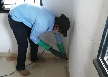 Pv-pest-control-services-Pest-control-services-Amravati-Maharashtra-2