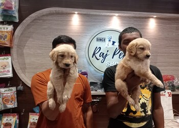 Raj-pets-shop-Pet-stores-Patna-Bihar-3