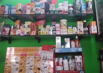 Rajan-pet-shop-Pet-stores-Bareilly-Uttar-pradesh-3