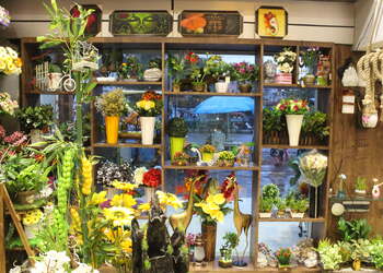 Rajshree-Flower-shops-Ranchi-Jharkhand-3