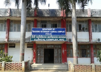 Ranchi-veterinary-college-Veterinary-hospitals-Ranchi-Jharkhand-1