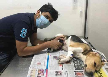 Renee-vet-hospital-Veterinary-hospitals-Uttarahalli-bangalore-Karnataka-3