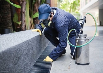 Rising-pest-control-Pest-control-services-Mohan-nagar-ghaziabad-Uttar-pradesh-2