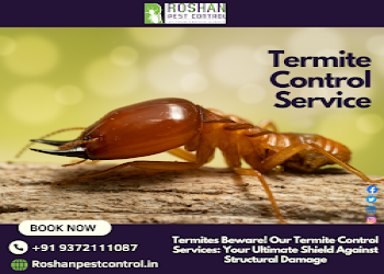 Roshan-pest-control-services-Pest-control-services-Versova-mumbai-Maharashtra-2