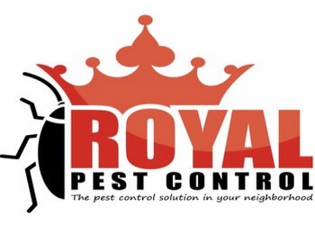 Royal-pest-control-Pest-control-services-Raopura-vadodara-Gujarat-1