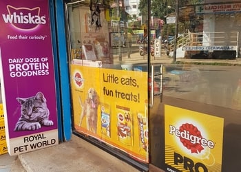 Royal-pet-world-Pet-stores-Raviwar-peth-belgaum-belagavi-Karnataka-1