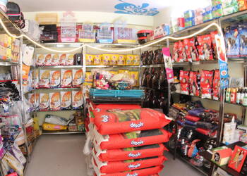 Royal-raj-pets-kingdom-Pet-stores-Udaipur-Rajasthan-2