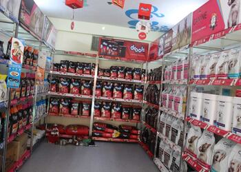 Royal-raj-pets-kingdom-Pet-stores-Udaipur-Rajasthan-3