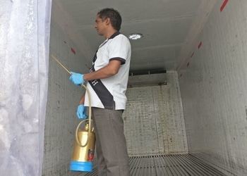 Rpa-pest-control-Pest-control-services-Sector-61-gurugram-Haryana-2