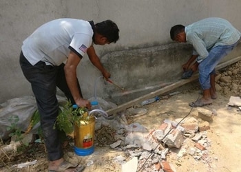 Rpa-pest-control-Pest-control-services-Sector-61-gurugram-Haryana-3