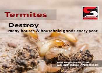 Sadguru-pest-control-Pest-control-services-Borivali-mumbai-Maharashtra-2