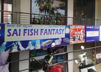 Sai-fish-fantasy-Pet-stores-Falnir-mangalore-Karnataka-1